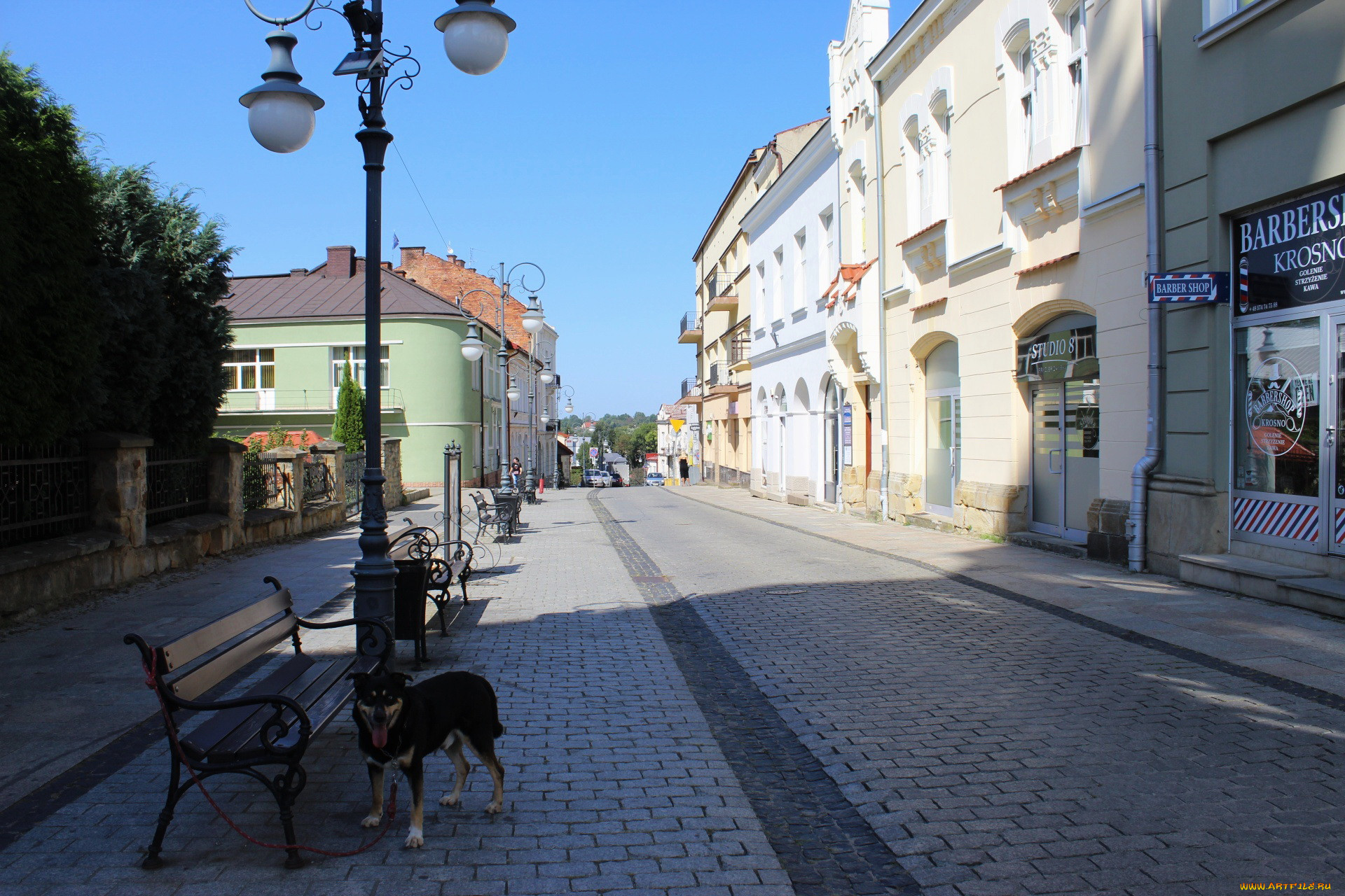 krosno, podkarpackie voivodeship, poland, , - ,  ,  , podkarpackie, voivodeship